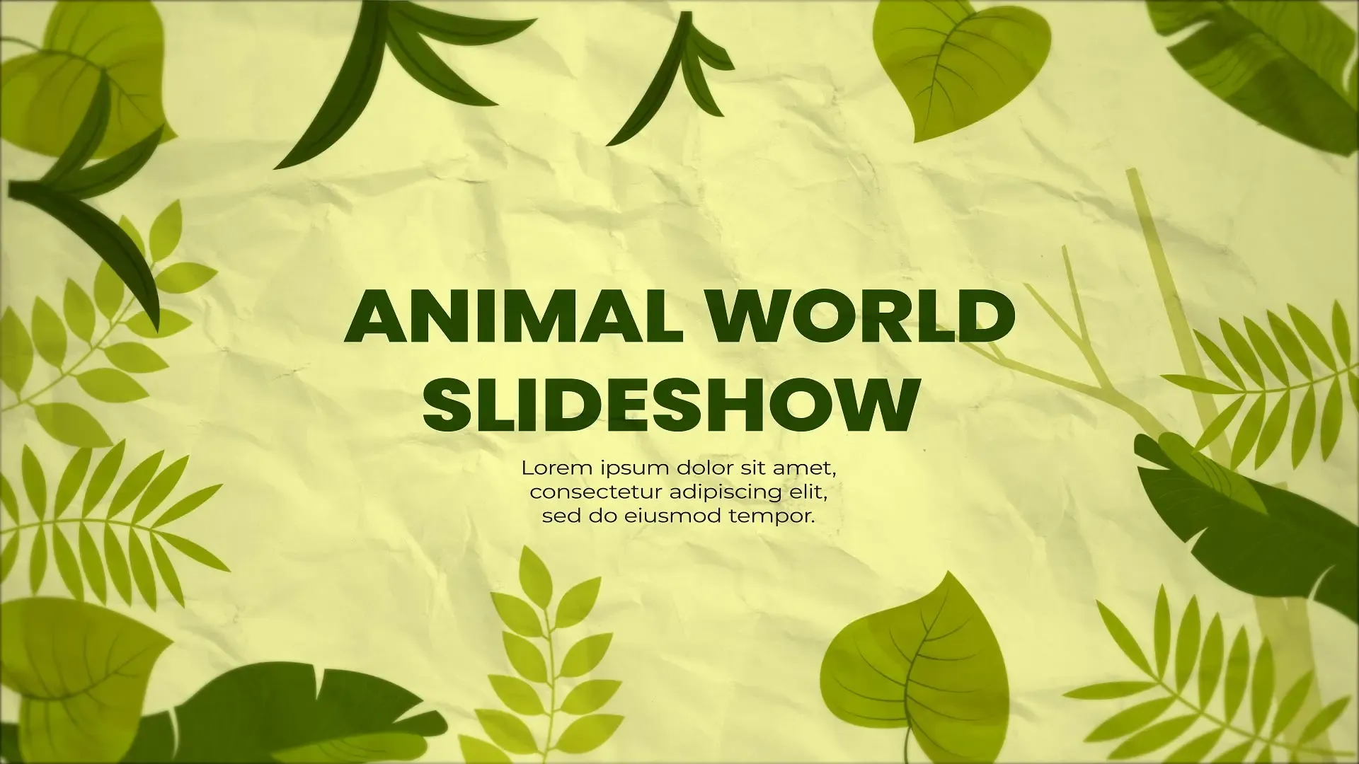 Wild Animal World Slideshow